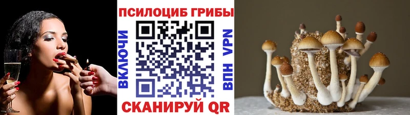 Галлюциногенные грибы Psilocybine cubensis  купить   Уварово 